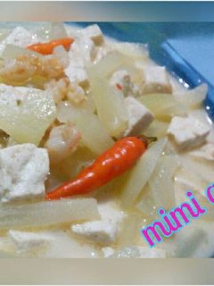 Foto resep Sayur santan labu siam