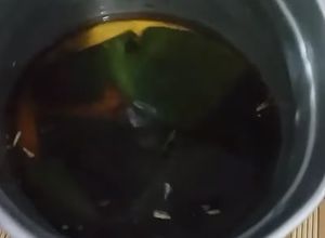 Foto de Chá verde com amora
