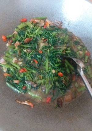 Foto resep Tumis kangkung tongkol suir