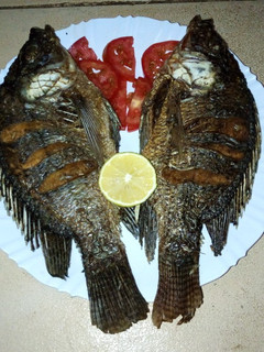 A picture of Fried fish #festive season contest kakamega.
