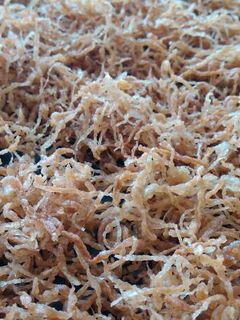 Foto resep Abon Pepaya