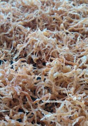 Foto resep Abon Pepaya