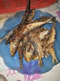 Ikan Asin tembang