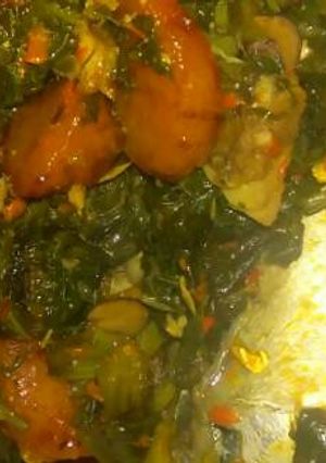 A picture of Dodo Vegetable.