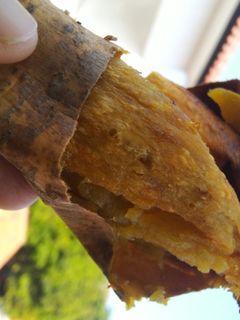 Foto resep Ubi Cilembu panggang oven listrik
