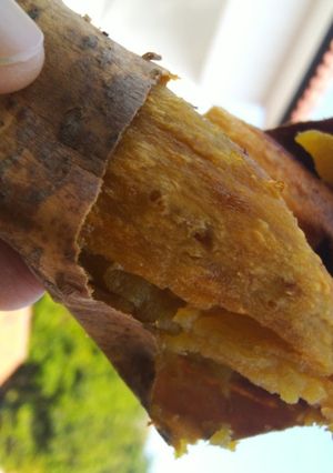 Foto resep Ubi Cilembu panggang oven listrik