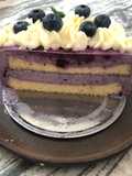 Blueberry mousse cake