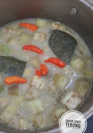 Foto resep Sayur Lodeh Terong
