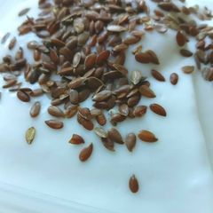A picture of Awesome Easy Oats.