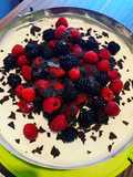 Schoko - Beeren - Torte