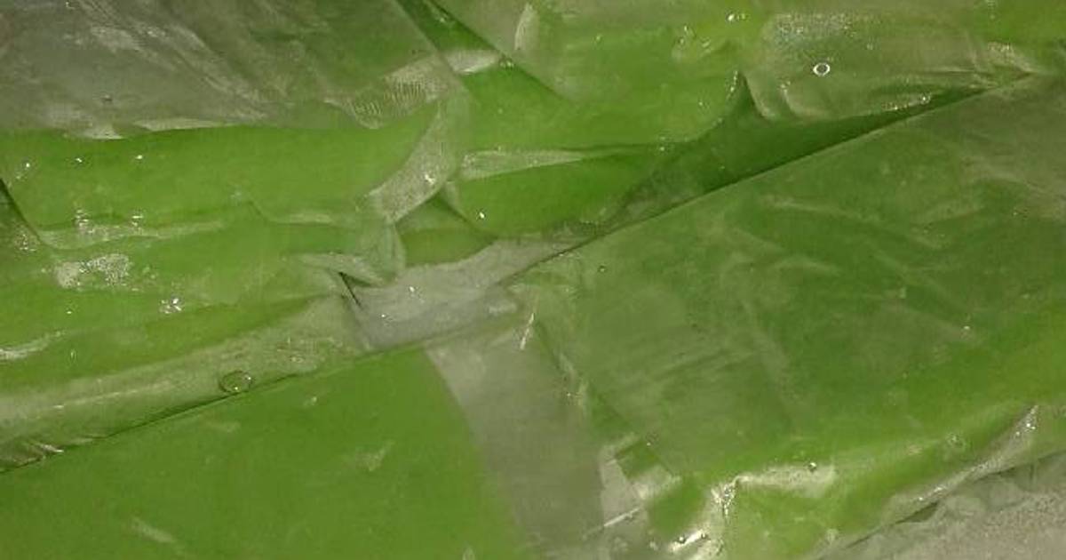 Resep ES Gabus oleh 👩HydDa Munirlove - Cookpad