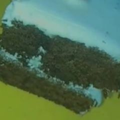 A picture of Black forest Cake baked.