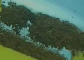 Popular Recipe Black forest Cake baked Delicious and Healthy