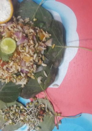 A picture of Sprout bhel.