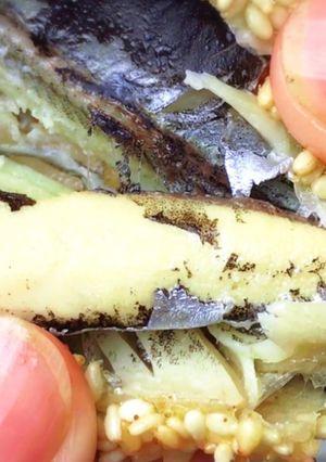รูปของ ปลาไข่ชิชาโมะทอด ปลาไข่ญี่ปุ่นทอด กรอบ อร่อย ไข่แน่นมาก