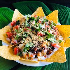 A picture of Nachos chat.