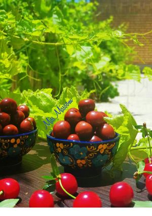 عکسی از دستور ترشی آلبالو