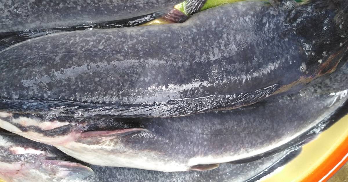 How to wash your catfish with pot ash Recipe by Sertou's Kitchen Cookpad