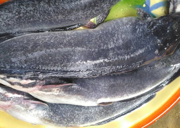 Step-by-Step Guide to Prepare Award-winning How to wash your catfish with pot ash