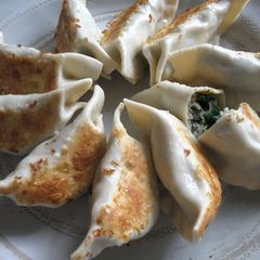 A picture of Kale & Chicken Gyoza.