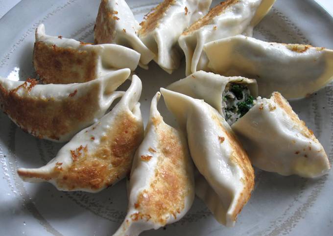 Kale & Chicken Gyoza