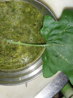 மூலிகை சட்டினி(Mooligai chutney recipe in tamil) செய்முறை முக்கிய புகைப்படம்
