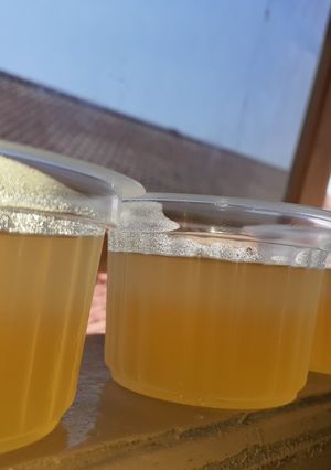 Foto resep 19. Nutrijell