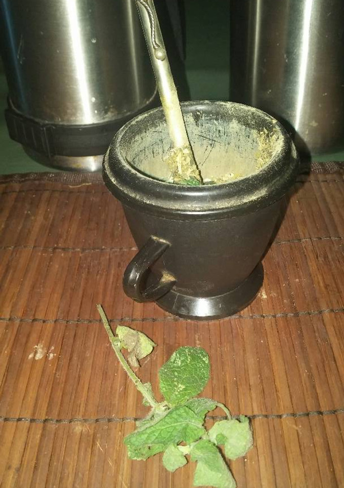 Una foto de Mate con menta