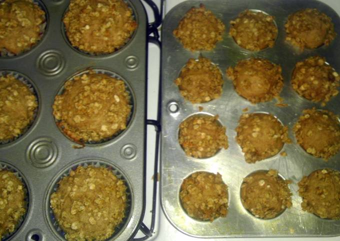 Quick & Scrumptious Applesauce Muffins