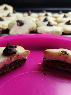 Una foto de Galletitas bicolor sin Tacc