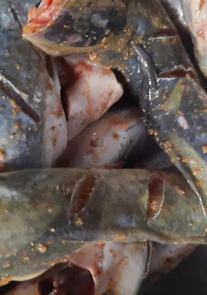 Foto resep Ikan Lele Marinasi Bumbu Ketumbar (Bumbu Tabur)