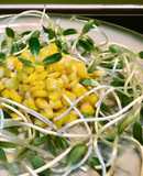 Salad rau mầm hướng dương