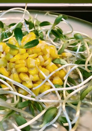 Hình của món Salad rau mầm hướng dương.