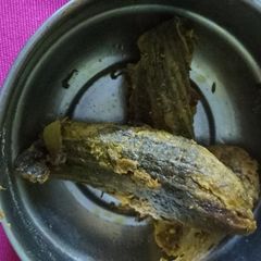 Stuff karela A picture of Stuff karela.