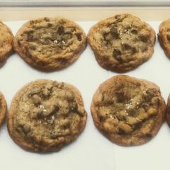 A picture of Chocolate Chip...Again.