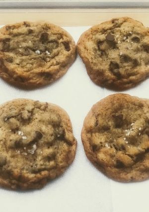 A picture of Chocolate Chip...Again.