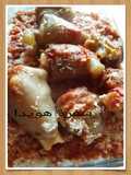 Egyptian Cow Trotters Fattah