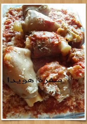 A picture of Egyptian Cow Trotters Fattah.