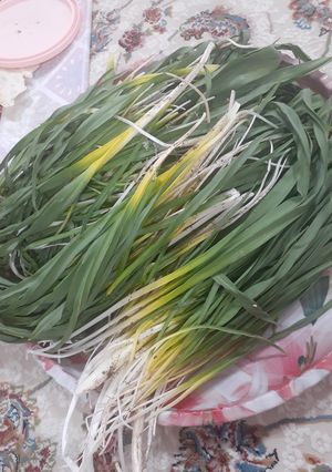 عکسی از دستور کَلانه پیچک