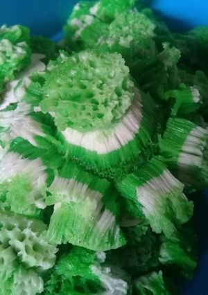 Foto resep Carang Bikang