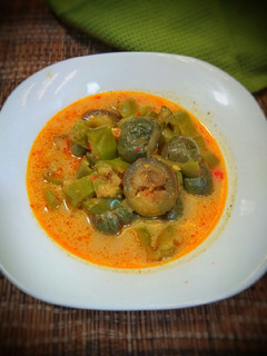 Foto resep Lodeh terong-terongan