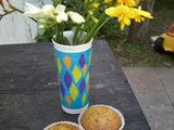 Muffins Integrales de vainlla