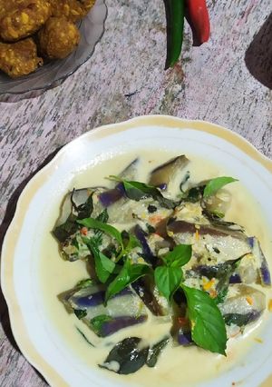 Foto resep Pecel Terong Santan