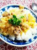 Easy and Delicious Oyako Donburi (Chicken and Egg Rice Bowl) for Ages 1 and Up