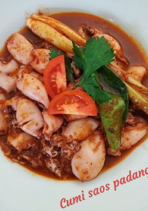 Foto resep Cumi saos padang 🦑