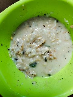 Foto resep MPASI ayam suwir modif bubur fortifikasi (day 1)anak GTM 7 bln