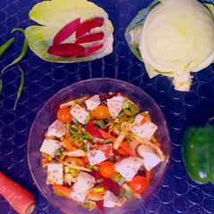 A picture of Paneer Vegetable Salad.