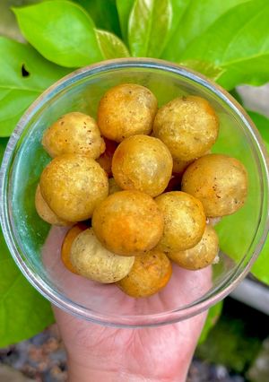 Foto resep Bola-Bola Ubi Mozza