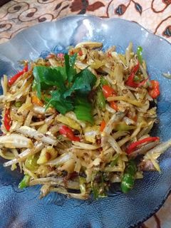 Foto resep Tumis teri mangga muda