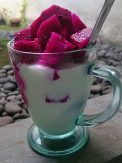 Foto resep Homemade Yoghurt